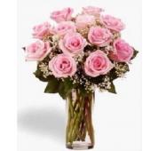 阿联酋Vase of 12 Pink roses