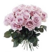 欧洲Bouquet of roses in lilac