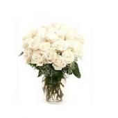 日本24 White Roses in Vase