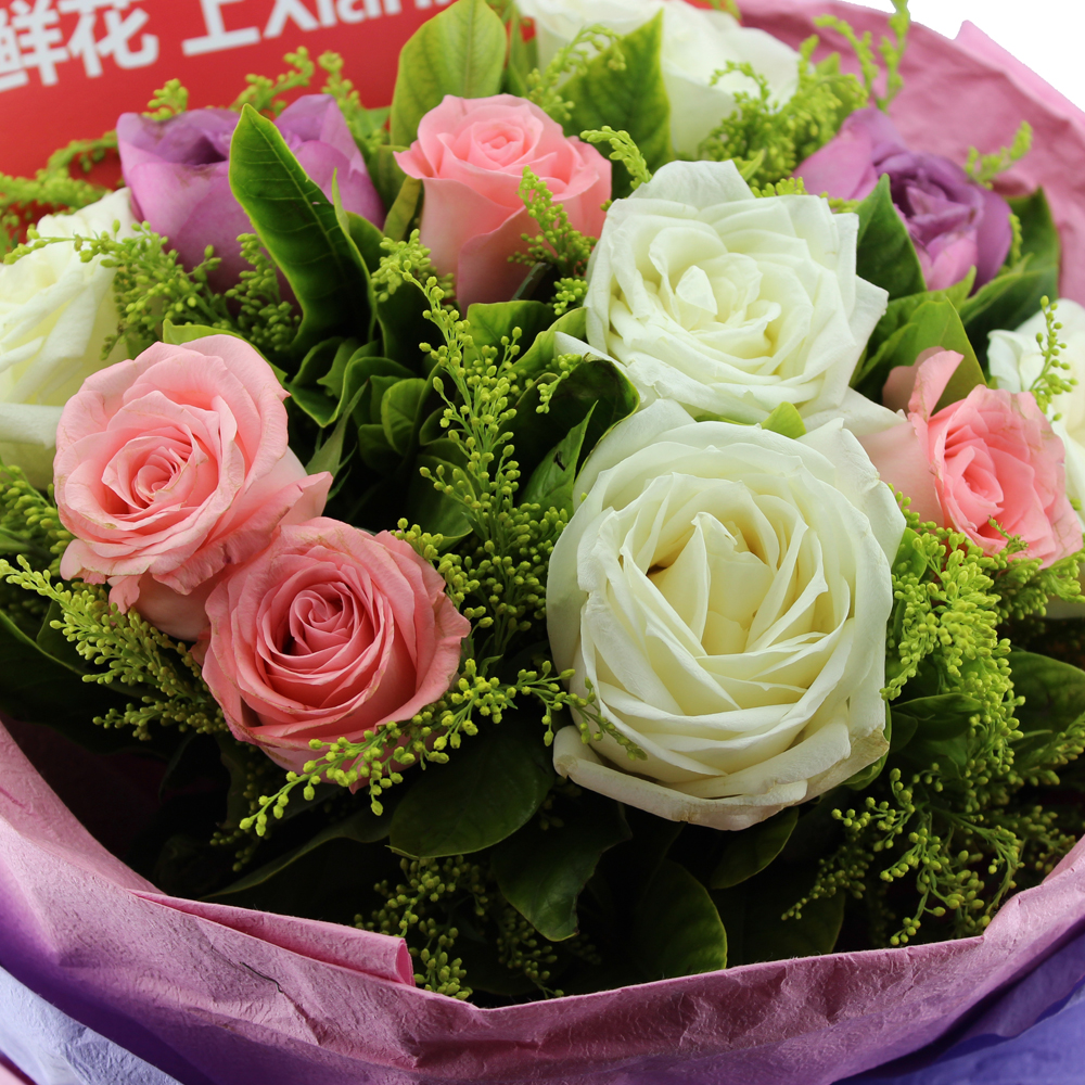你的倩影 就好似一道美丽晨曦 鲜花【高清 图片 实拍 相册】
