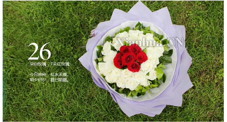 爱情亲情生日祝福道歉周年纪念 鲜花主材:              红玫瑰白玫瑰
