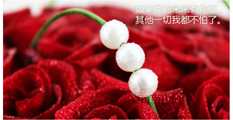 难以忘记我的心里只有你