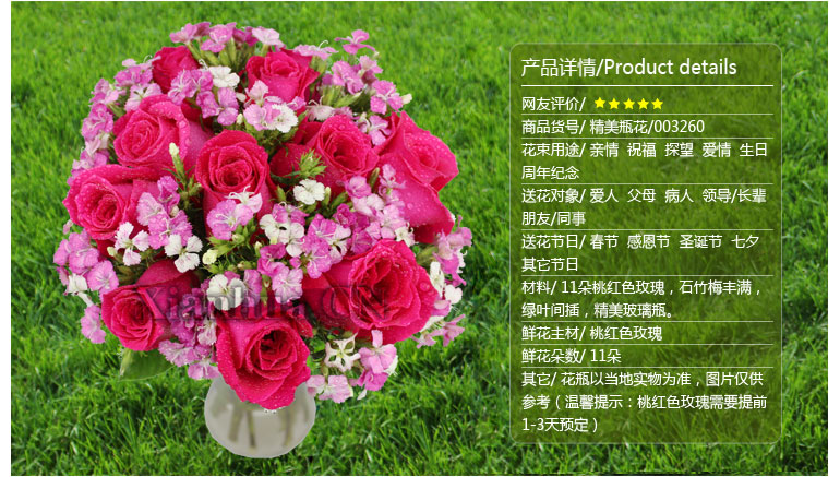 幸福期待 爱在你我之间 精美瓶花【图片 价格 品牌 报价】
