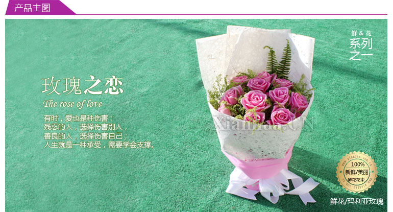玫瑰之恋 粉色浪漫