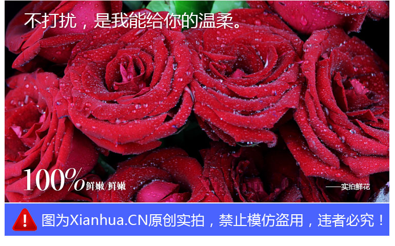 一见倾心 因你而心动
